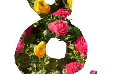 Čestitamo Međunarodni dan žena, 8. ožujka